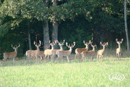 House in Saint Francois County, Missouri