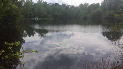 Waterfront Property in Pearl River County, Mississippi