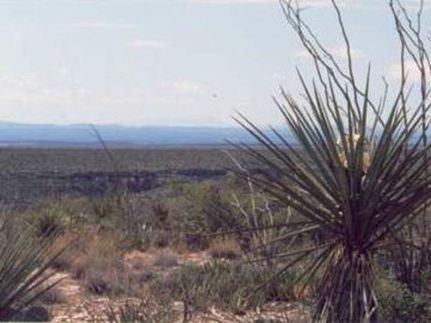 Undeveloped Land in Terrell County, Texas