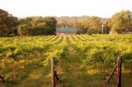 Commercial Property in Howell County, Missouri