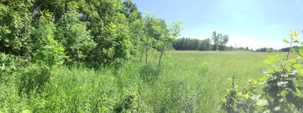 Undeveloped Land in Eaton County, Michigan