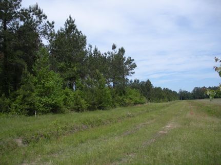 Farm and Ranch in Horry County, South Carolina