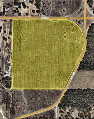 Recreational Property in Lake County, Florida