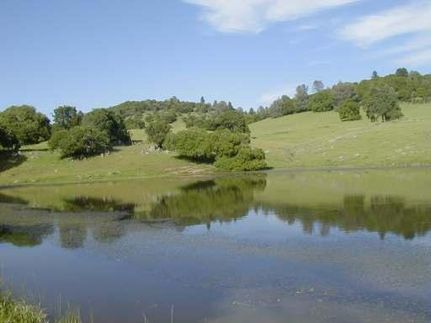 Waterfront Property in Amador County, California