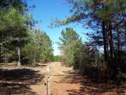 Land in Amite County, Mississippi