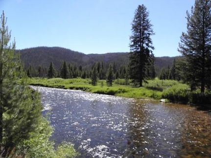 Riverfront Property in Valley County, Idaho
