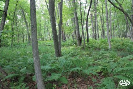 Land in Waushara County, Wisconsin
