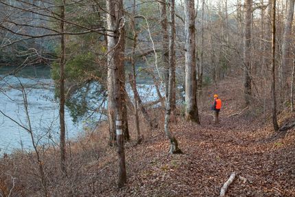 Farm and Ranch in Shelby County, Alabama