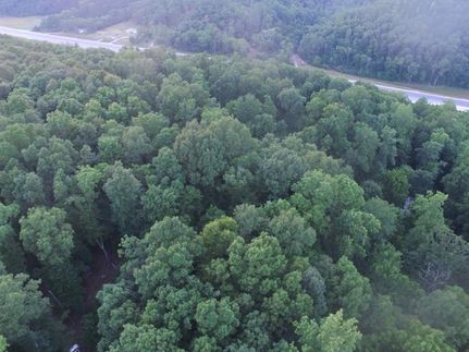 House in Lewis County, Tennessee