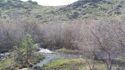 Land in Grant County, Oregon