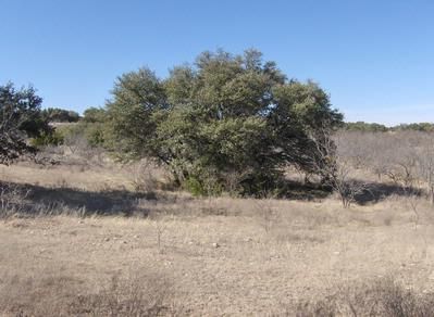 Farm and Ranch in Brown County, Texas