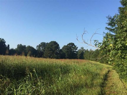 Recreational Property in Marengo County, Alabama
