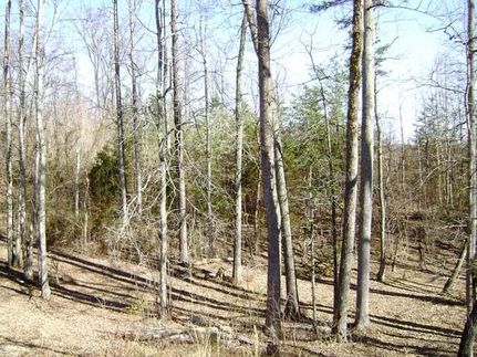 Farm and Ranch in Cocke County, Tennessee