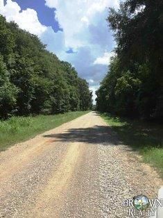 Farm and Ranch in Madison Parish, Louisiana