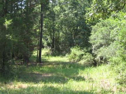 Farm and Ranch in Freestone County, Texas