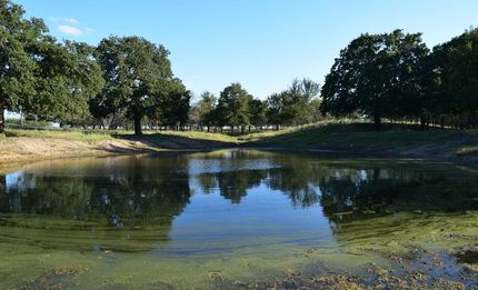 Farm and Ranch in Comanche County, Texas