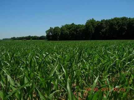 House in Hancock County, Indiana