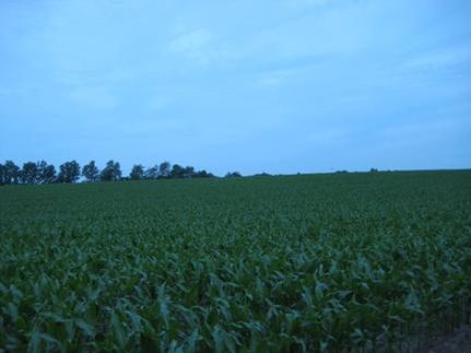 Timberland Property in Lenawee County, Michigan