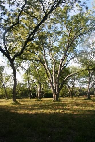 Farm and Ranch in Travis County, Texas