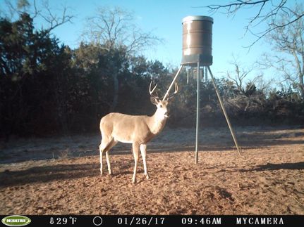Land in Callahan County, Texas