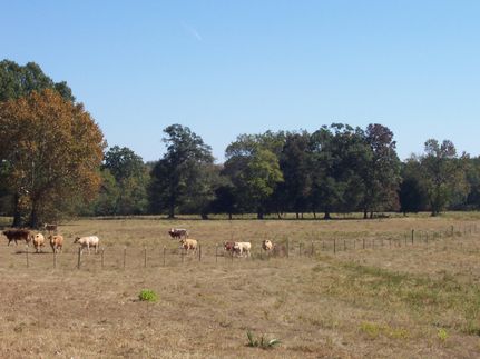 Farm and Ranch in Shelby County, Alabama