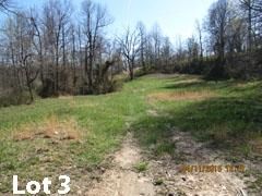 Farm and Ranch in Carter County, Kentucky