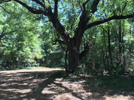 Farm and Ranch in Lafayette County, Mississippi
