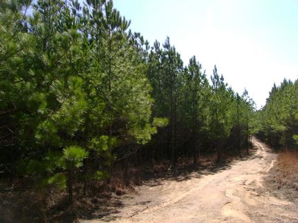 Land in Tippah County, Mississippi