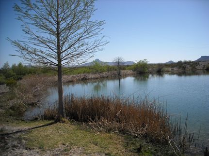Farm and Ranch in Presidio County, Texas