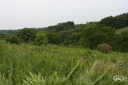 Farm and Ranch in Owen County, Kentucky