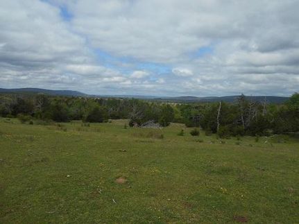 Timberland Property in Pushmataha County, Oklahoma