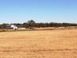 Land in Travis County, Texas