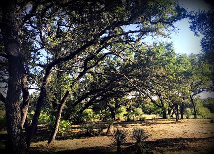Hunting Property in Burnet County, Texas