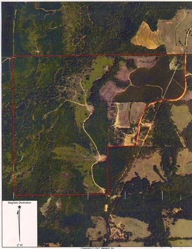 Farm and Ranch in Pike County, Alabama