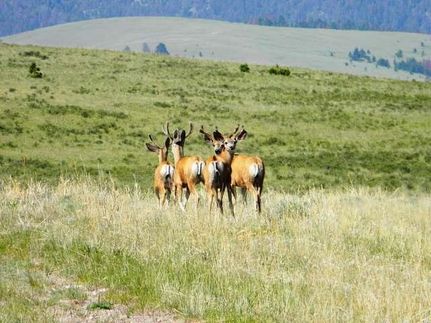 Land in Beaverhead County, Montana