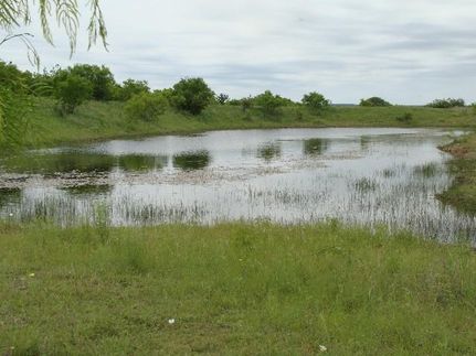 Timberland Property in McCulloch County, Texas