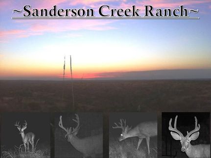 Land in Terrell County, Texas