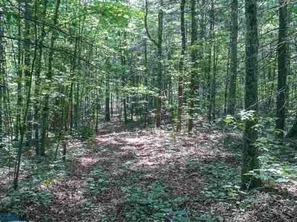 Undeveloped Land in Albemarle County, Virginia