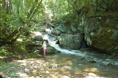 Farm and Ranch in Madison County, North Carolina