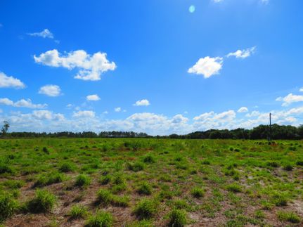 Timberland Property in Hillsborough County, Florida