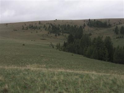 Land in Granite County, Montana