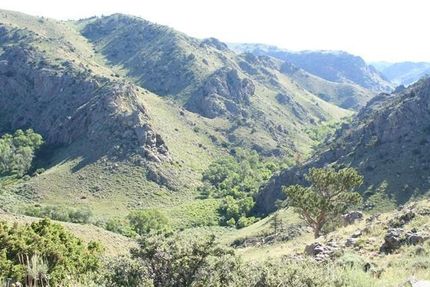 Farm and Ranch in Albany County, Wyoming
