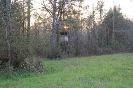 Farm and Ranch in Crenshaw County, Alabama