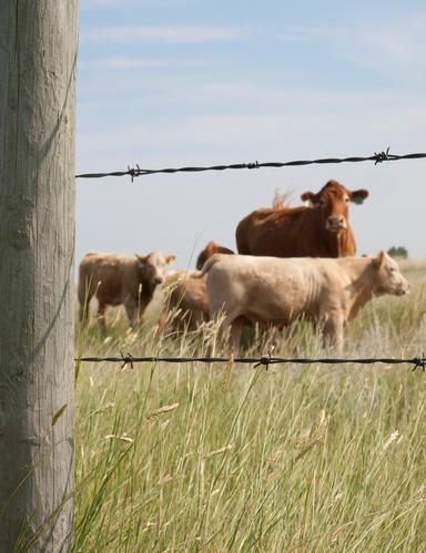Farm and Ranch in Carter County, Oklahoma