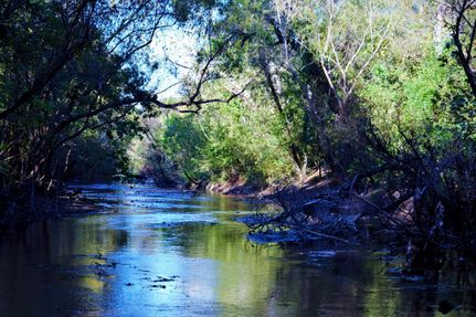 Undeveloped Land in Jackson County, Texas