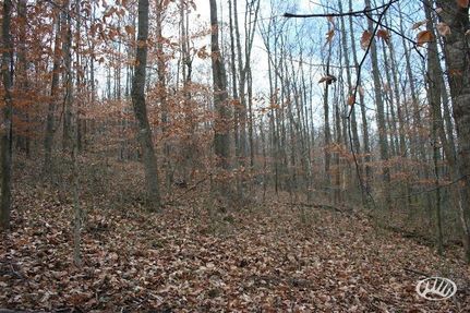 Land in Warren County, Kentucky