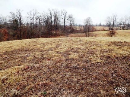Land in Ballard County, Kentucky