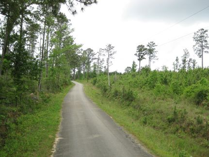 Recreational Property in Jasper County, Texas