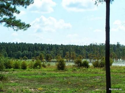 Land in Winn Parish, Louisiana