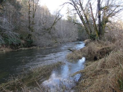 Land in Grays Harbor County, Washington